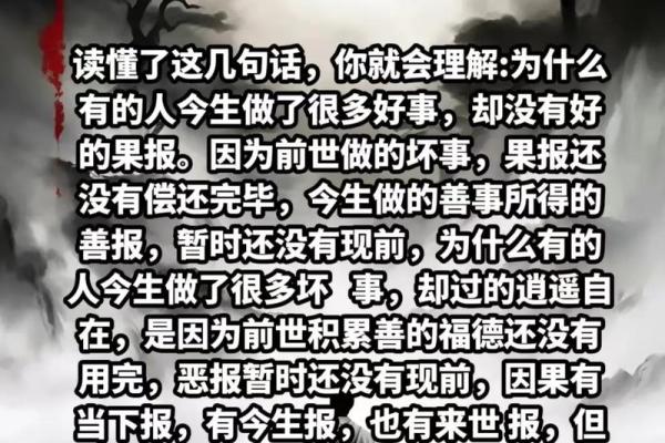 命重浮沉，雄主宰的深刻哲理与人生启示