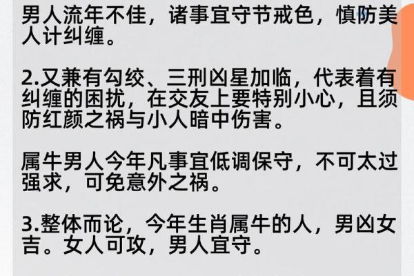 四头牛命解析：命中注定的坚韧与财富之路