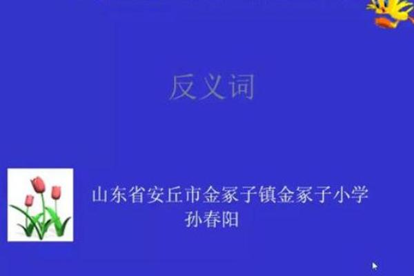 揭开“农命”的反义词与农村生活的另一面