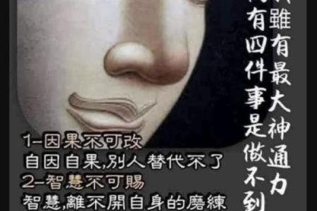 探秘命带金花的奥秘与人生启示，与你的命运相伴！