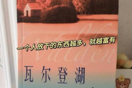 命里带湖：探寻内心的宁静与智慧之源