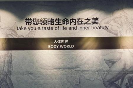 命理的五道解析:探索生命奥秘与灵性成长之路