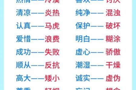 揭开“农命”的反义词与农村生活的另一面