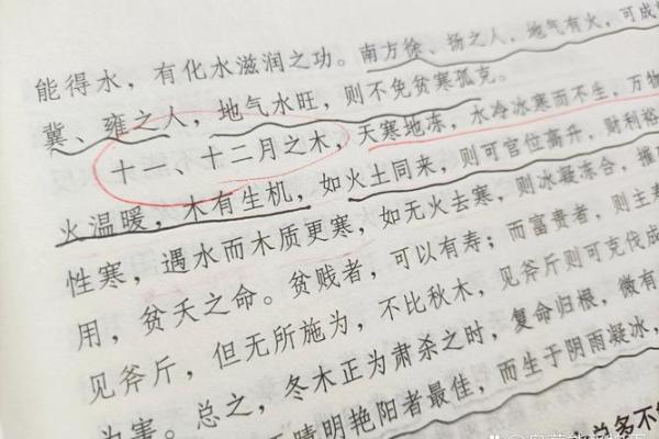 探秘甲木日元：女命命理的独特魅力与运势解析