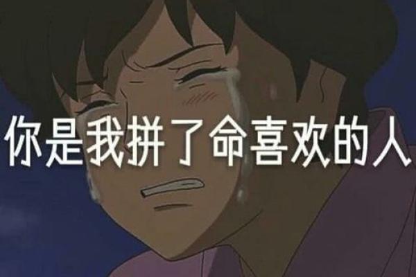 拼着命去爱你的人：曲中情深的爱恋之歌