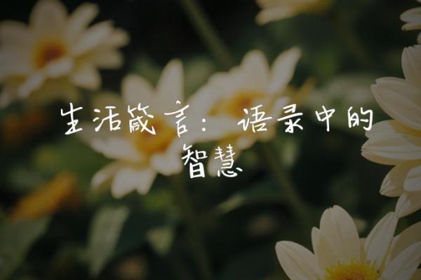 命里几斤几两，揭示你的命运秘密与生活智慧