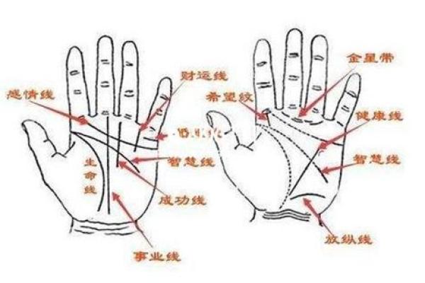 四月初三出生的女孩：命运与性格的深度解析