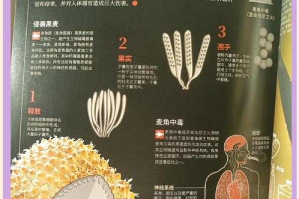 七种命格的人特征解析：解锁生命的奥秘与潜能