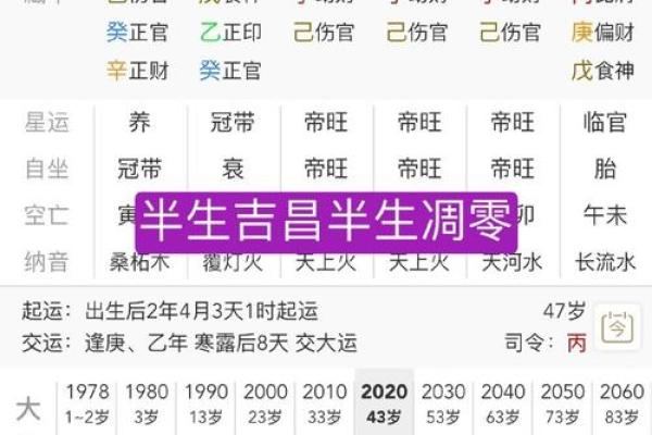 九三年六月出生的命运解析：浅谈“癸酉”之年与性格特征