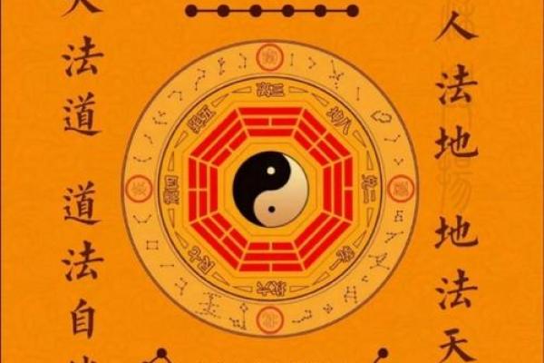 女命无官星的命格解析与人生启示