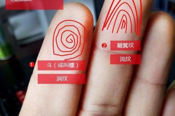 命局中富贵的秘密：揭示人生成功的隐秘法则