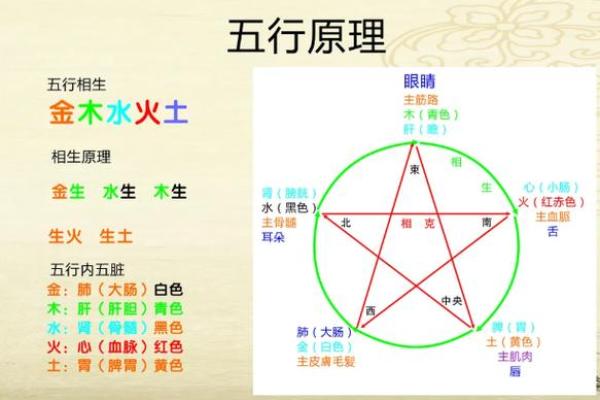 女命偏官与正官的区别解析：命理中的双重象征与影响