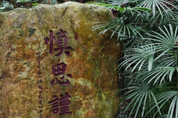 揭秘木命与土命：属相的深层意义与影响
