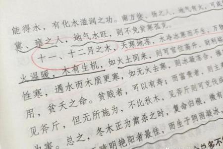 探秘甲木日元：女命命理的独特魅力与运势解析