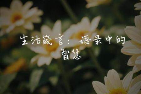 命里几斤几两，揭示你的命运秘密与生活智慧