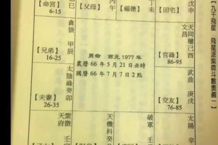 深入解析乙酉命局：命宫之秘与人生之路的探索