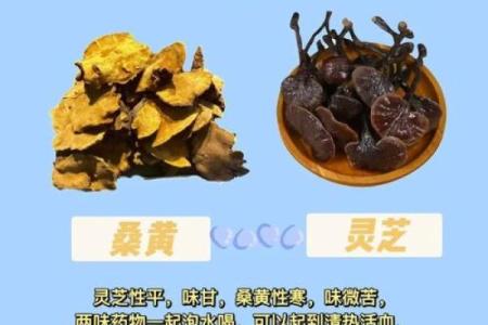 平地木命的最佳搭档:探索最合适的命格组合