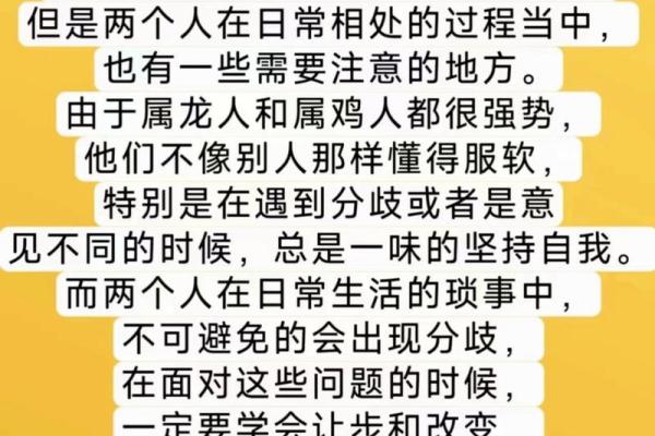 探索龙命理：属龙男人的命格解析与人生智慧