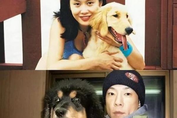 命局多冲的女人：她们的命运与转机