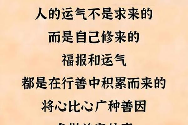 命好不如运好：人生起伏中的运势哲学