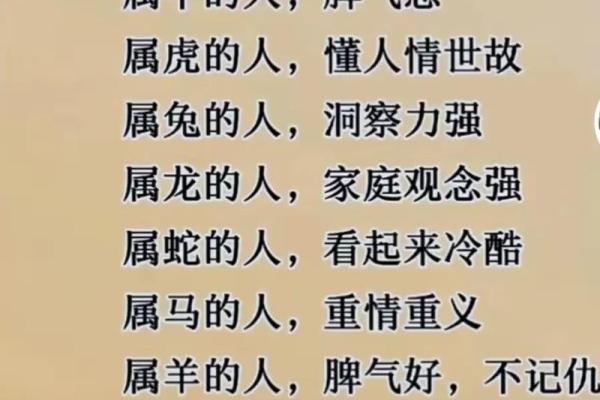 属狗人明年运势如何？揭开狗年命运的秘密！