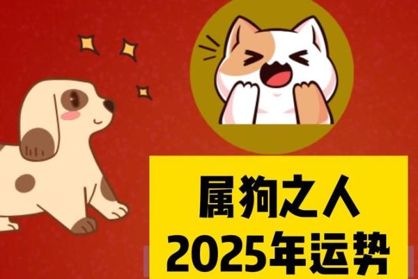 属狗人明年运势如何？揭开狗年命运的秘密！