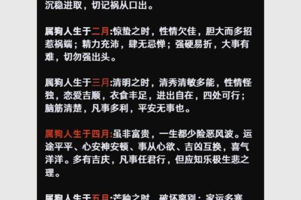 生肖狗的命运解析：六月初十出生的人生与运势