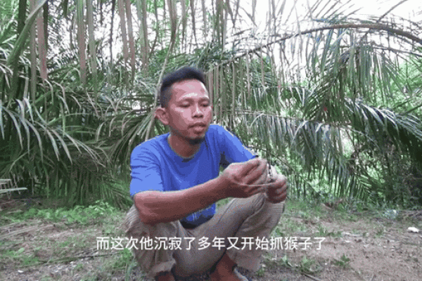 腊月出生的猴子命运解析：天生聪颖，如何把握人生机遇？