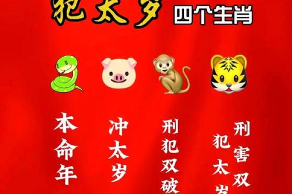 《探寻九三年十一月的属相与命运之谜》
