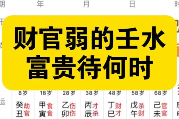 探秘男命正财星癸水：财富与命运的深层关系