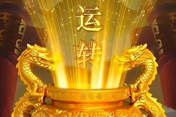 木命与哪些命最合财运，如何寻求财富运势提升？