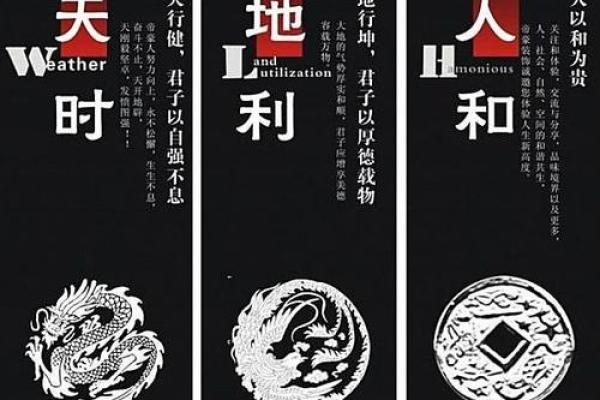 1986年出生的男性命运解析：走向成功之路的秘密