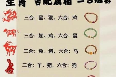 探索龙命理:属龙男人的命格解析与人生智慧