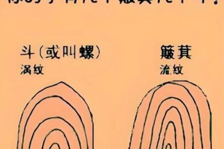 男人的10个“簸箕”,揭示你的命运与个性之谜!