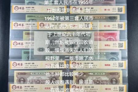 人民币的过去、现在与未来:解读六八年的文化意义与价值