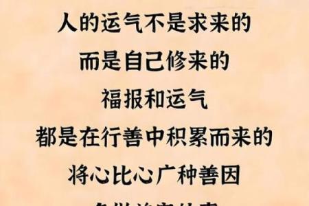 命好不如运好：人生起伏中的运势哲学