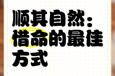 命里无时莫问事：顺其自然的人生哲学