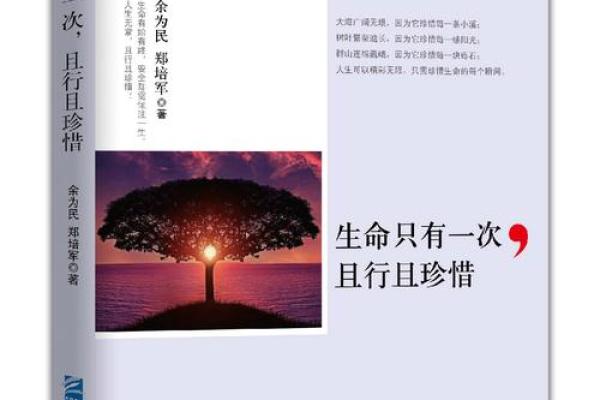 生命的珍贵与无价：何谓真正重要的存在？