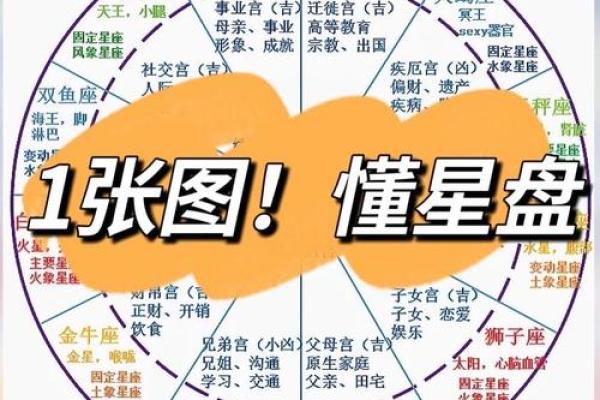 女命婚姻宫主财解析：读懂命理，洞悉人生幸福之钥！