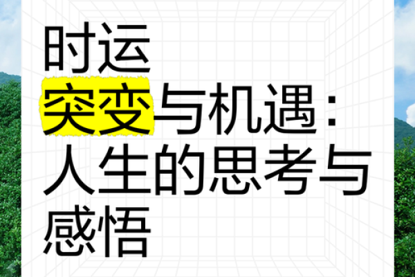 命好不如运好：探索人生中的运势与机遇之道