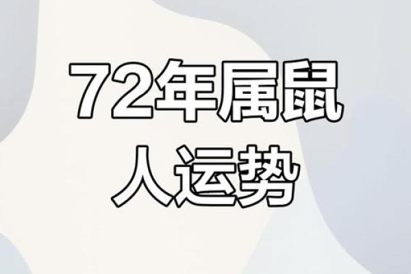 探索1996年六月的命运：那些属鼠之人的人生轨迹