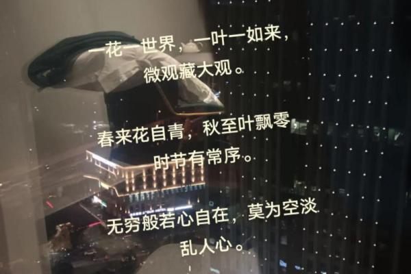 命由己造，相由心生：探寻内心的真实力量与美丽