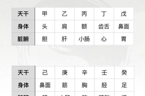 揭秘1994年8月五行八字命理：命运之旅一窥究竟-jsfddfjs
