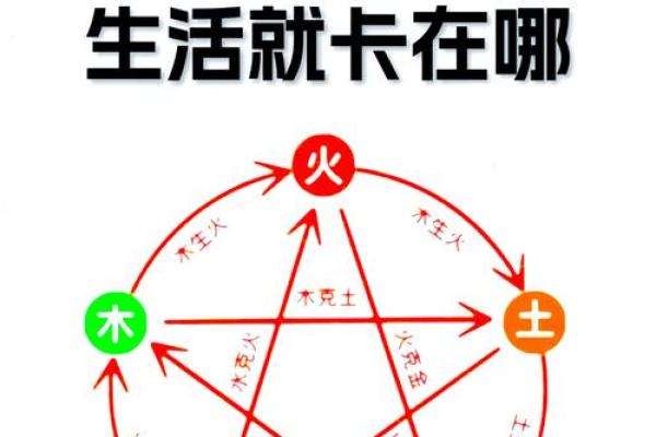 探究八字中的木命和火命：自然元素与人生轨迹的关系
