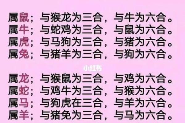 男命与女命的缘份：命理角度看爱情与婚配的秘密