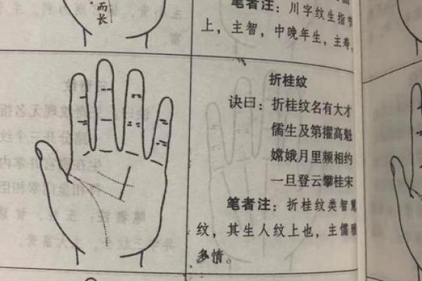 女孩子手指的秘密：探索指形与命运的深层联系