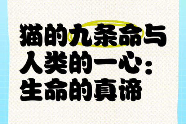 为什么猫有九条命？探秘猫咪的生存智慧与奇妙传说
