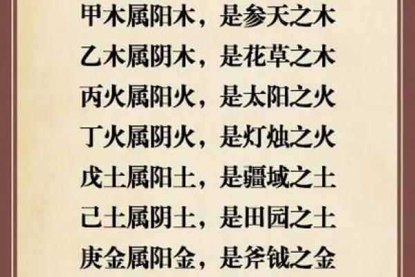 木命与土命：如何利用隔断提升家居风水与生活品质