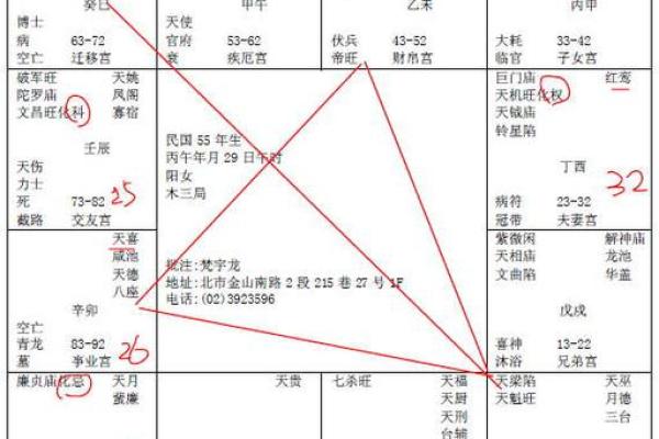 女命中官星的象征与影响解析