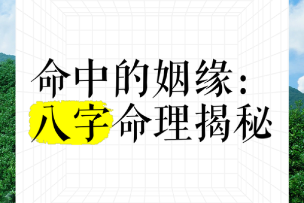 路旁土命的最佳姻缘：命理与爱情的完美结合